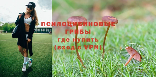 каннабис Алексеевка
