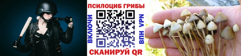 МЕГА ONION  Александровск-Сахалинский  Галлюциногенные грибы Cubensis  наркошоп 