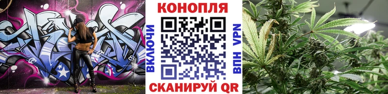 как найти   Александровск-Сахалинский  Канабис конопля 